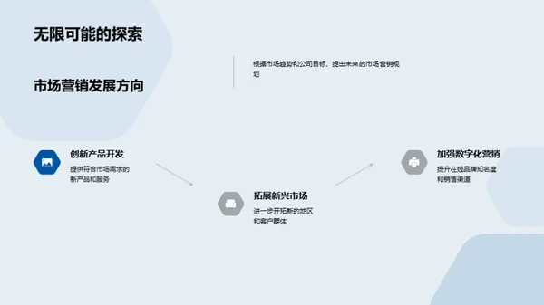 市场营销策略与成效