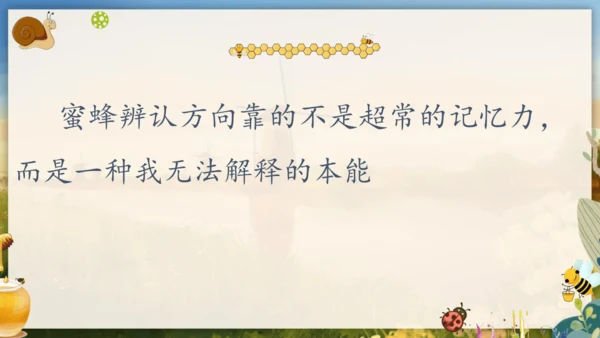 14《蜜蜂》课件