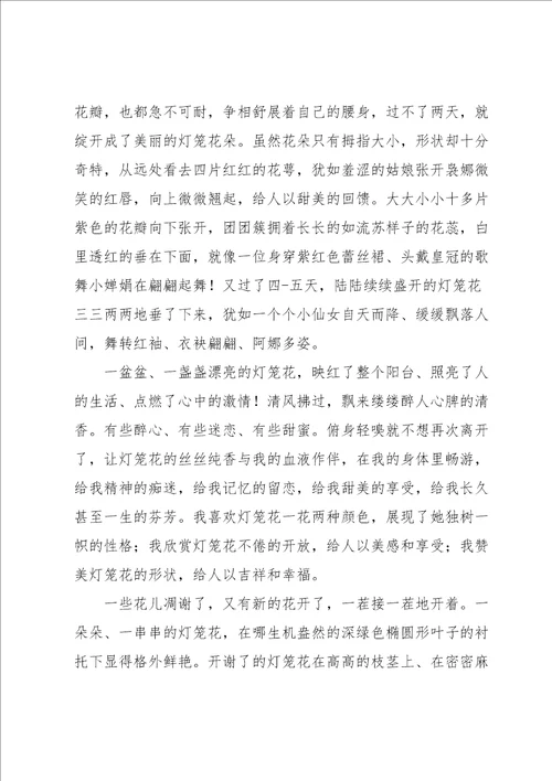 初中的美丽作文汇总10篇