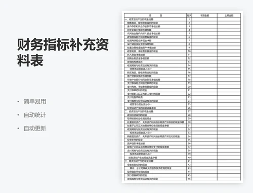 财务指标补充资料表