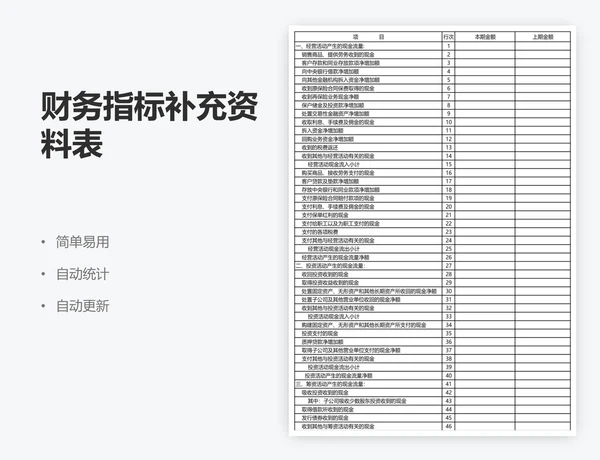 财务指标补充资料表