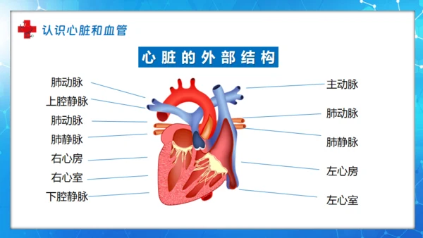 医院血液科肾内科透析通用PPT模板