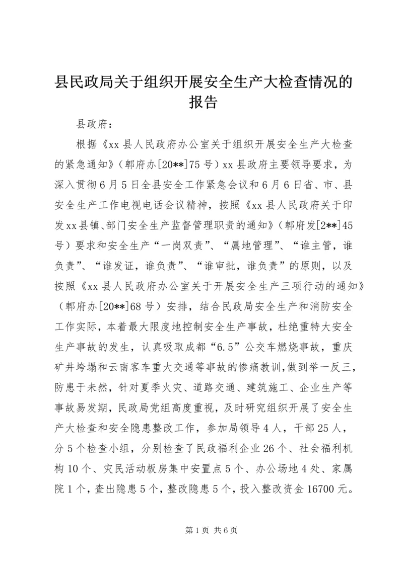 县民政局关于组织开展安全生产大检查情况的报告.docx