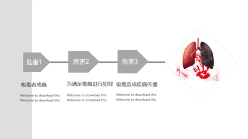 青少年禁毒宣传安全教育通用PPT模板