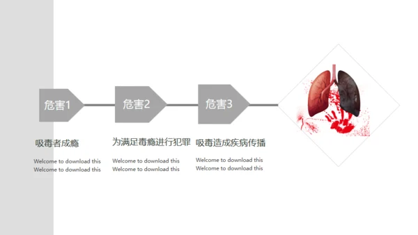 青少年禁毒宣传安全教育通用PPT模板
