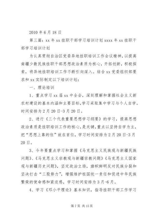 挂职干部学习实践计划.docx