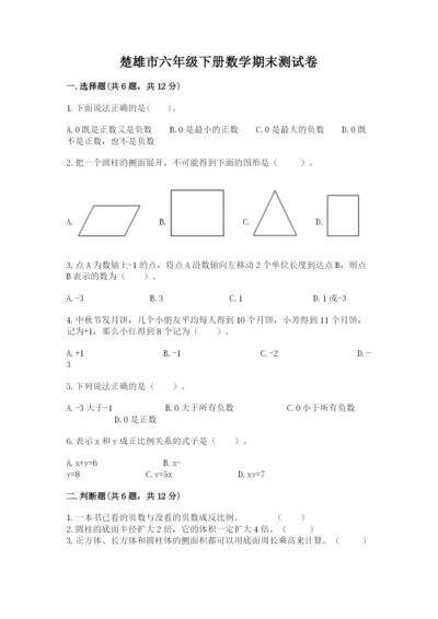 楚雄市六年级下册数学期末测试卷汇编.docx