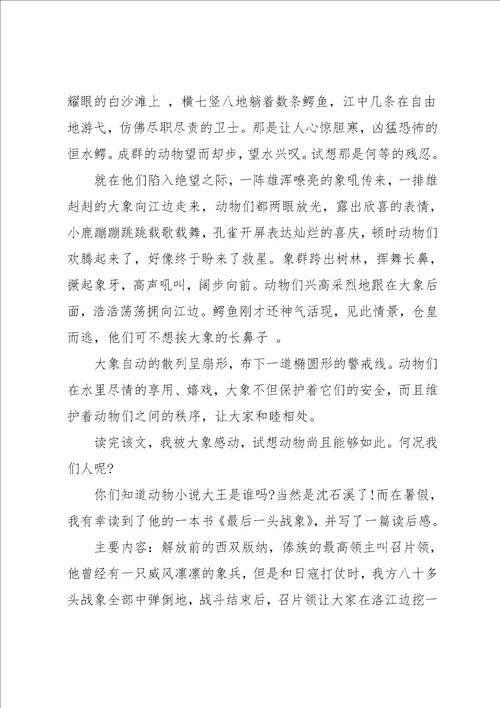 最后一头战象读后感小学作文500字