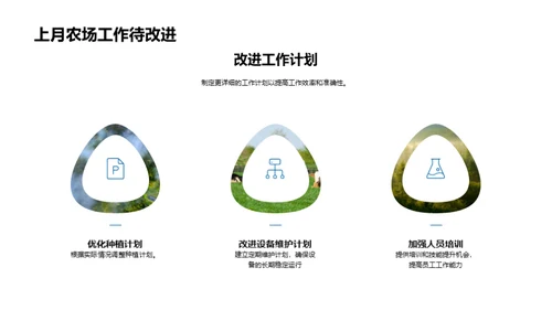 农业效益分析及展望