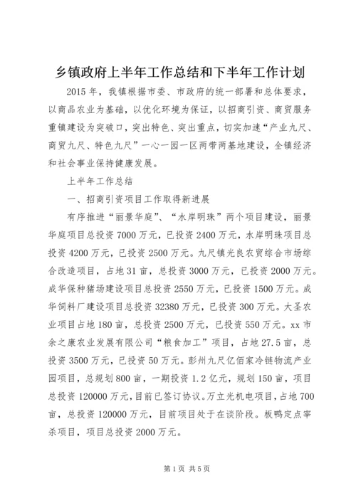 乡镇政府上半年工作总结和下半年工作计划.docx