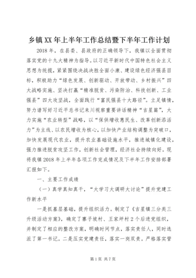 乡镇某年上半年工作总结暨下半年工作计划.docx