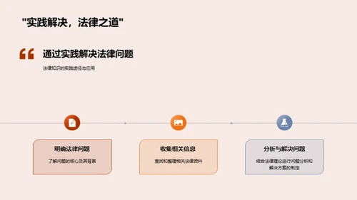 法律实践的深度探析