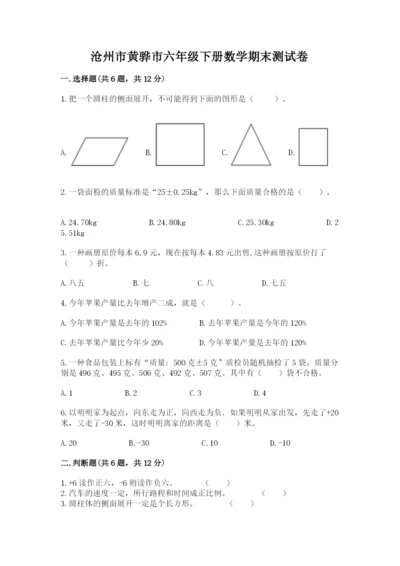 沧州市黄骅市六年级下册数学期末测试卷精品带答案.docx