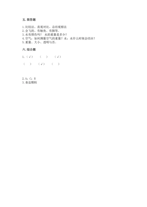 教科版一年级下册科学期末测试卷【有一套】.docx