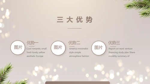圣诞节快乐圣诞节组织活动策划PPT