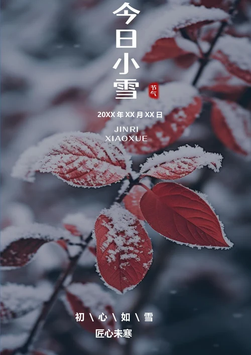 今日小雪小雪节气海报