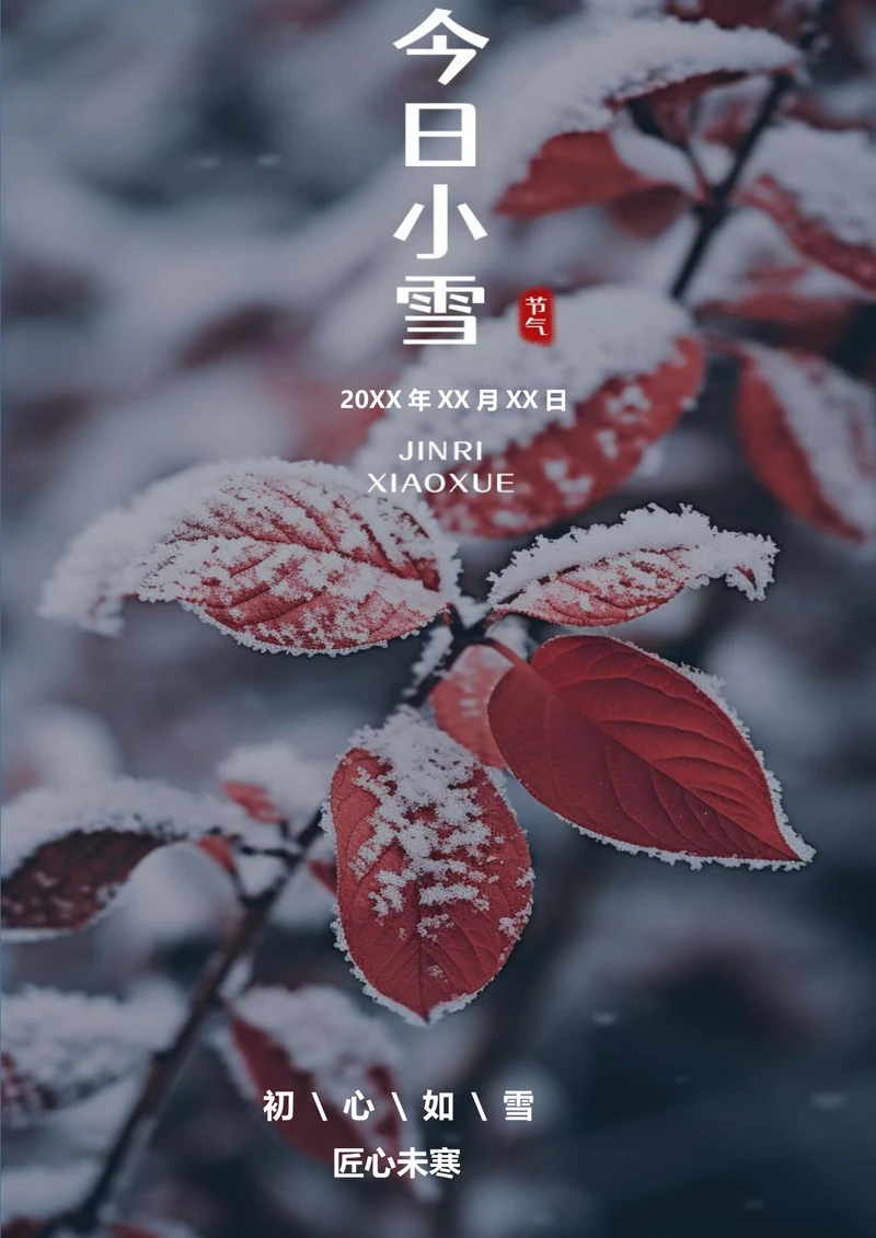 今日小雪小雪节气海报