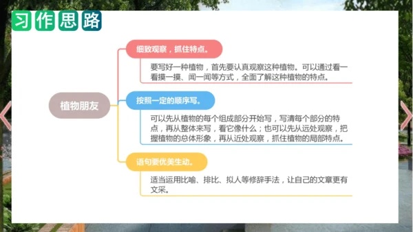 统编版三年级语文下册单元作文能力提升第一单元+习作：我的植物朋友（教学课件）