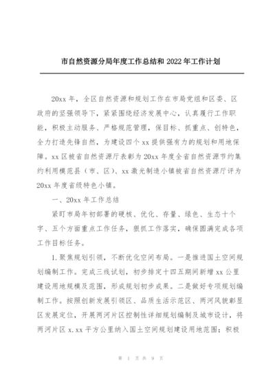 市自然资源分局年度工作总结和2022年工作计划.docx