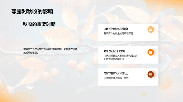探索寒露节气
