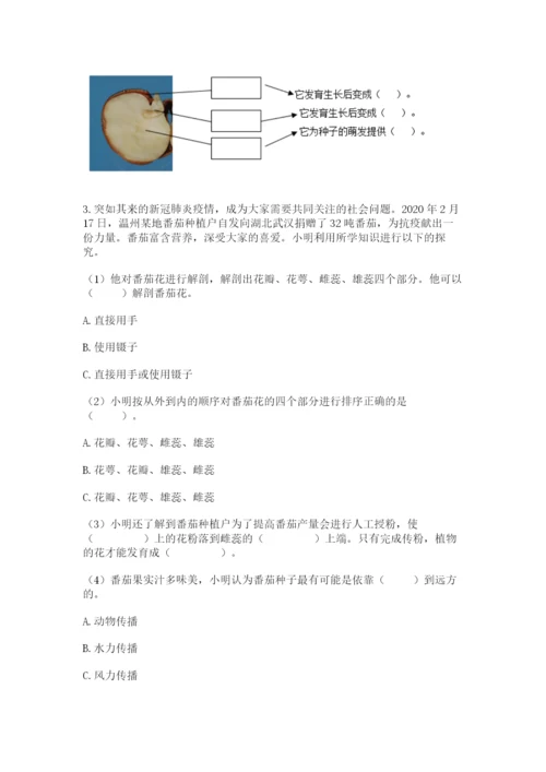 教科版科学四年级下册第一单元《植物的生长变化》测试卷【b卷】.docx