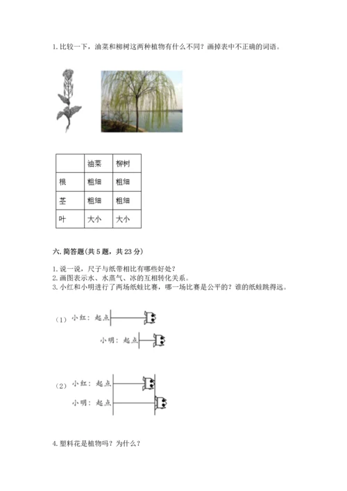 教科版一年级上册科学期末测试卷加下载答案.docx