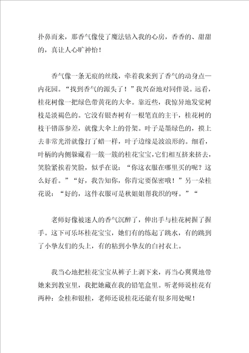 描绘桂花的作文