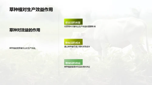 草种植：畜牧业的革新引擎