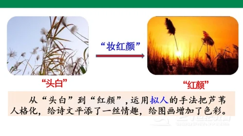 3《现代诗二首》课件