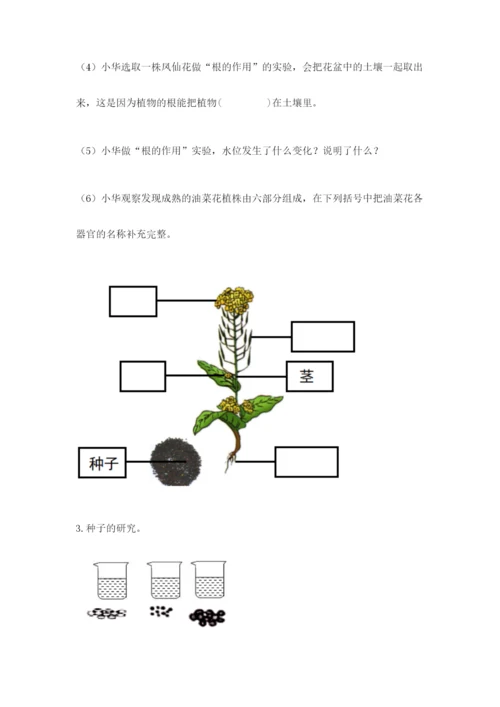 科学四年级下册第一单元植物的生长变化测试卷附答案（名师推荐）.docx