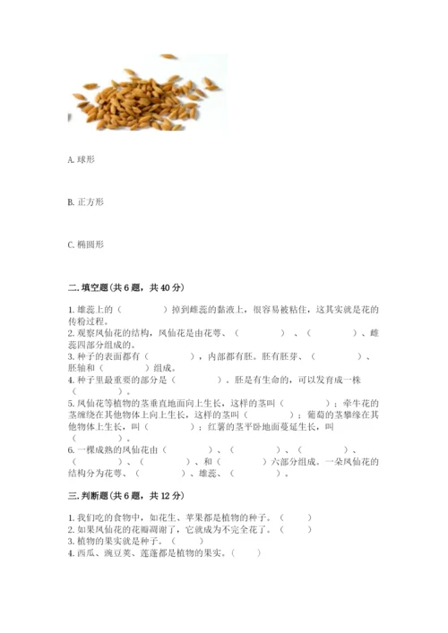 科学四年级下册第一单元《植物的生长变化》测试卷精编.docx