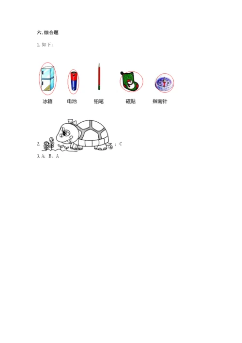 教科版小学科学二年级下册 期末测试卷精品（有一套）.docx