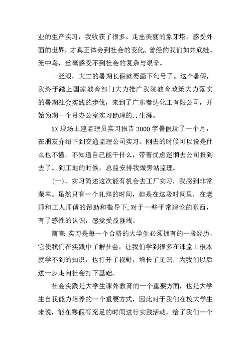 XX年4月大学生暑期实习报告