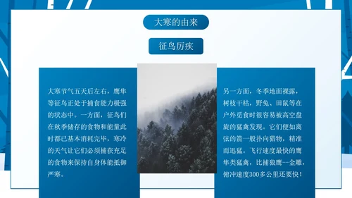 蓝色卡通雪景大寒节气主题教育带内容PPT模板