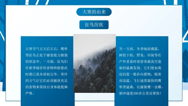 蓝色卡通雪景大寒节气主题教育带内容PPT模板