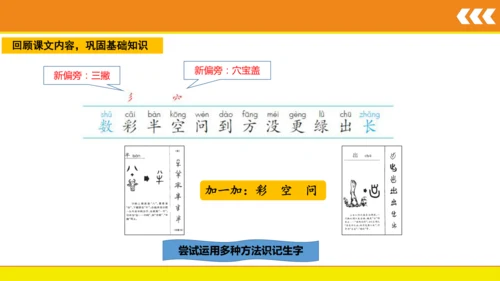8 雨点儿  课件
