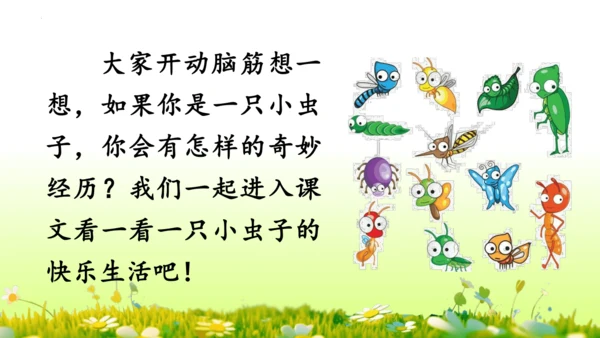 11.我是一只小虫子 课件