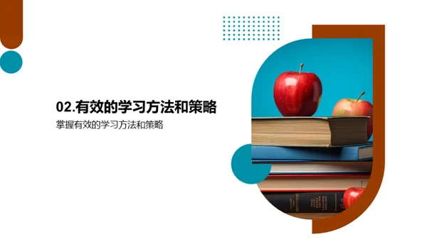 六年级学习全攻略