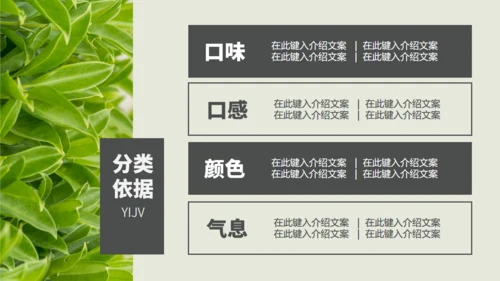 茶业店春茶产品介绍宣传手册通用PPT模板