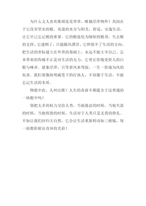 以根为话题的作文800字-2.docx