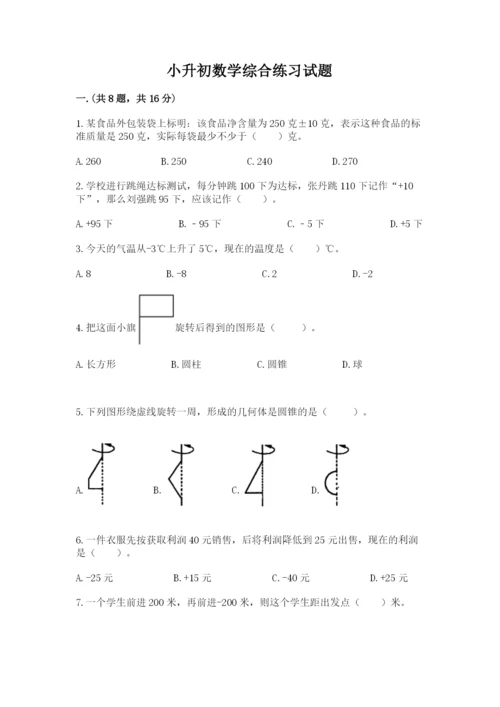 小升初数学综合练习试题精品.docx