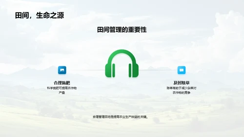 谷雨季节农事指南