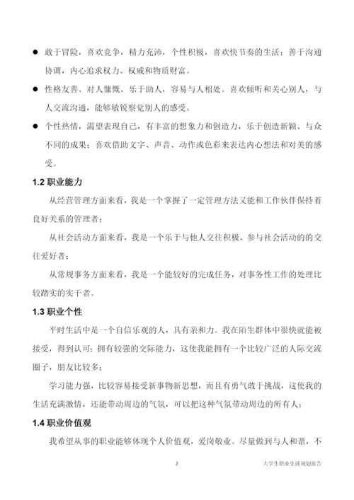 11页3456字计算机科学与技术专业职业生涯规划.docx