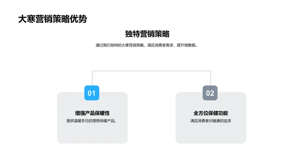 大寒营销策略报告PPT模板