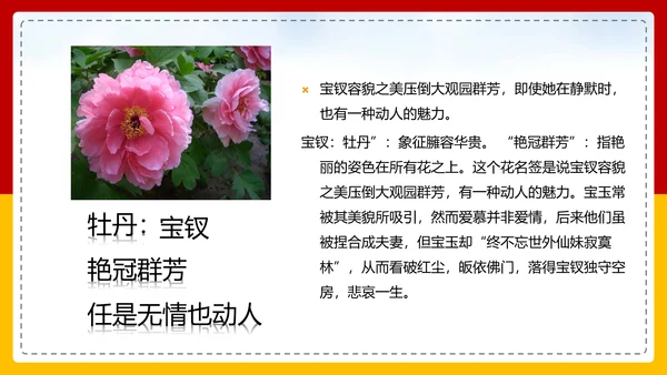 红楼梦选读高中语文教学PPT课件
