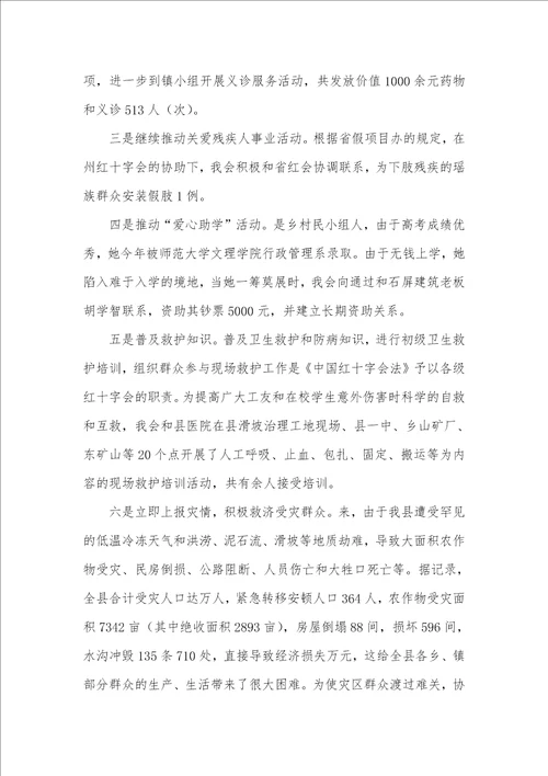 红十字会工作总结及计划