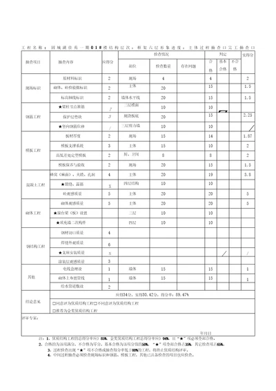 评审抽查评分表