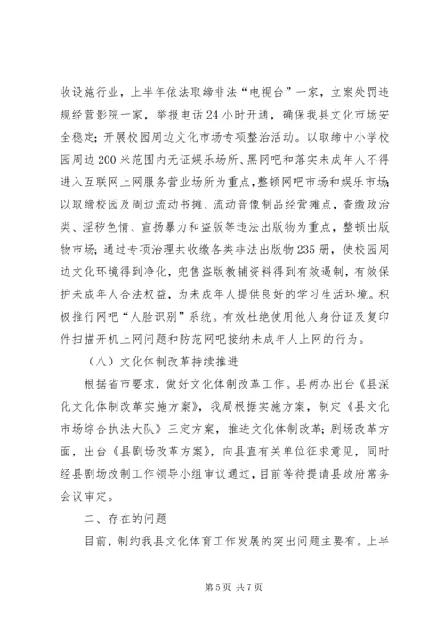 文体局上半年工作总结及下半年安排.docx