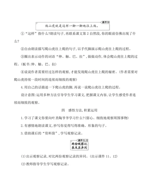 10爬山虎的脚  教案