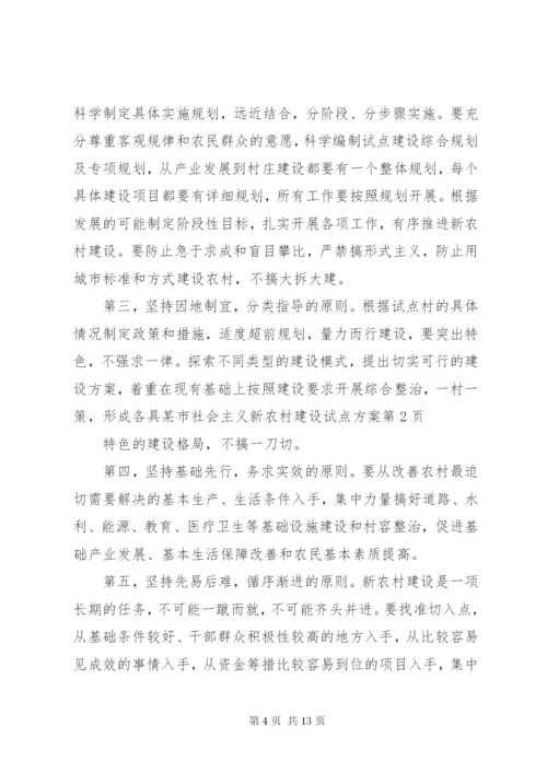 某市社会主义新农村建设试点方案.docx